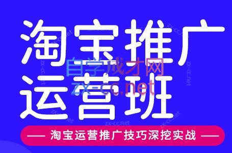 美迪电商·淘宝高级运营班+推广运营班(更新9月)-来聚吧