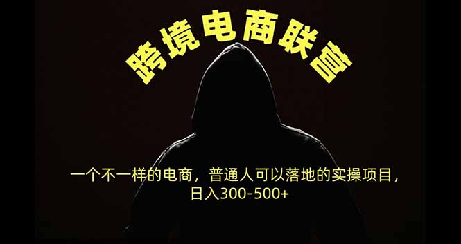跨境电商联营，一个不一样的电商，普通人可操作日入300-500+-来聚吧