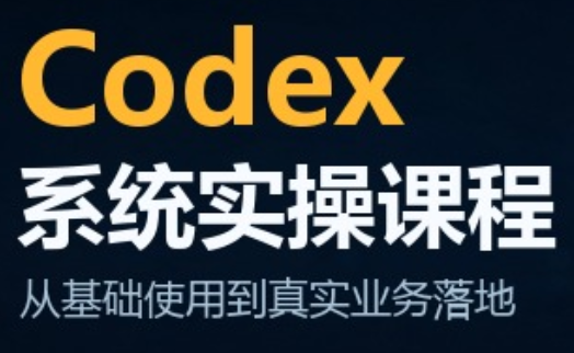 codex系统实操课程(更新10月)-来聚吧