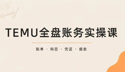 TEMU全盘账务实操课：账单导出、科目设置、利润核算-来聚吧