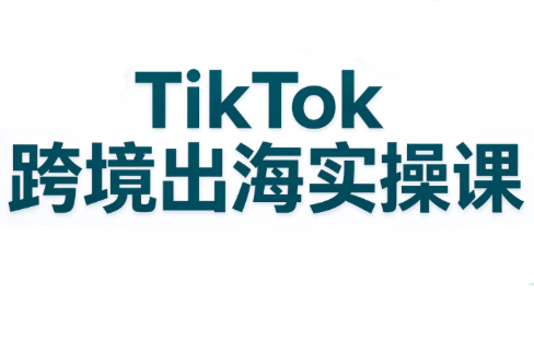 彭老师·TikTok跨境出海实操课-来聚吧